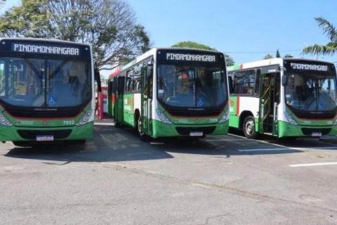 Coleta de lixo, ônibus, cemitério, laboratório e outros: confira o que abre e fecha no feriado da Consciência Negra