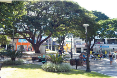 Pinda realiza reunião online sobre Plano Municipal de Arborização Urbana